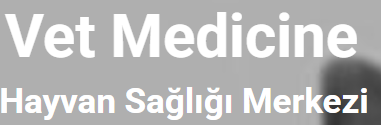 vet-medicine-veteriner-saglik-merkezi-big-0