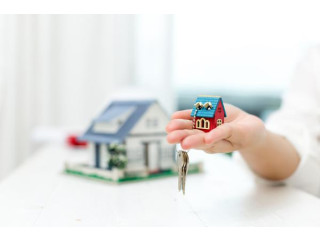 Zayrova Gayrimenkul & Otomotiv