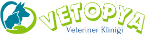 vetopya-veteriner-klinigi-big-0